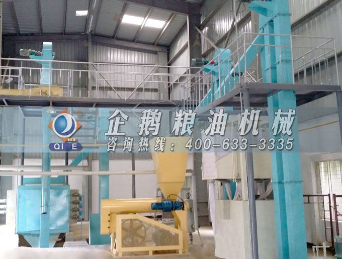 如何投資建設(shè)棕櫚油加工廠？企鵝糧油機械在線為您答疑解惑(圖4)
