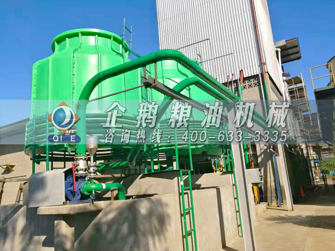 如何投資建設(shè)棕櫚油加工廠？企鵝糧油機械在線為您答疑解惑(圖3)