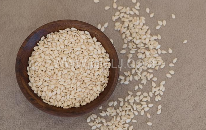 芝麻油壓榨處理設(shè)備，企鵝牌液壓榨油機(jī)勇于創(chuàng)新生產(chǎn)效率高(圖1)
