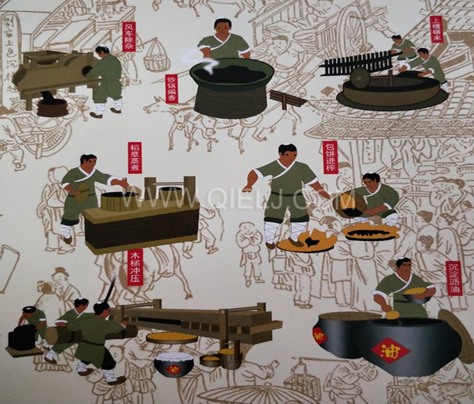 芝麻油提取加工，企鵝糧油機(jī)械生產(chǎn)色香味俱佳的油脂(圖2)